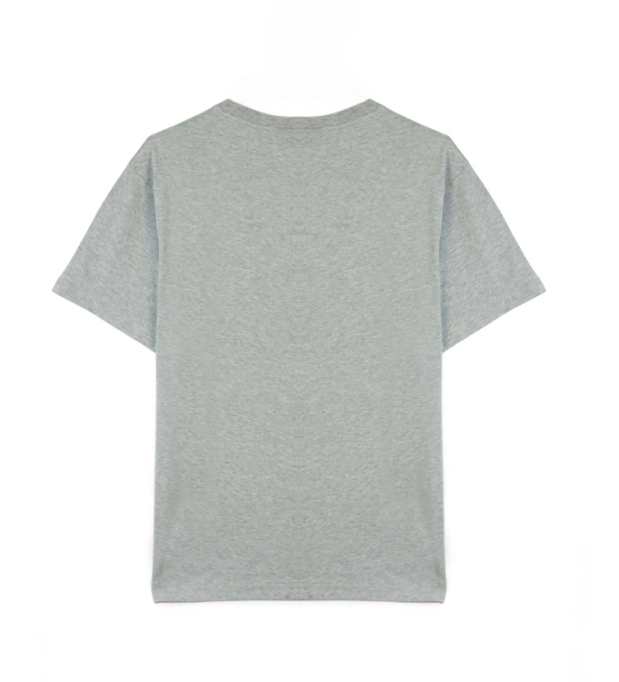 Camiseta Darlan gris