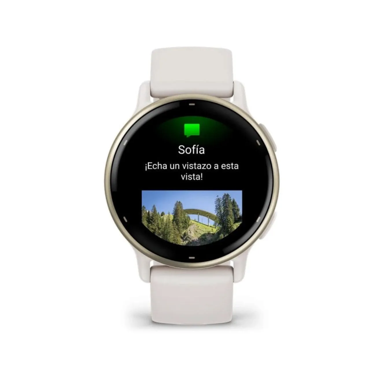 Reloj Garmin vivoactive 5 Blanco